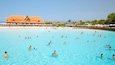 Siam Park which includes a waterpark and swimming as well as a large group of people