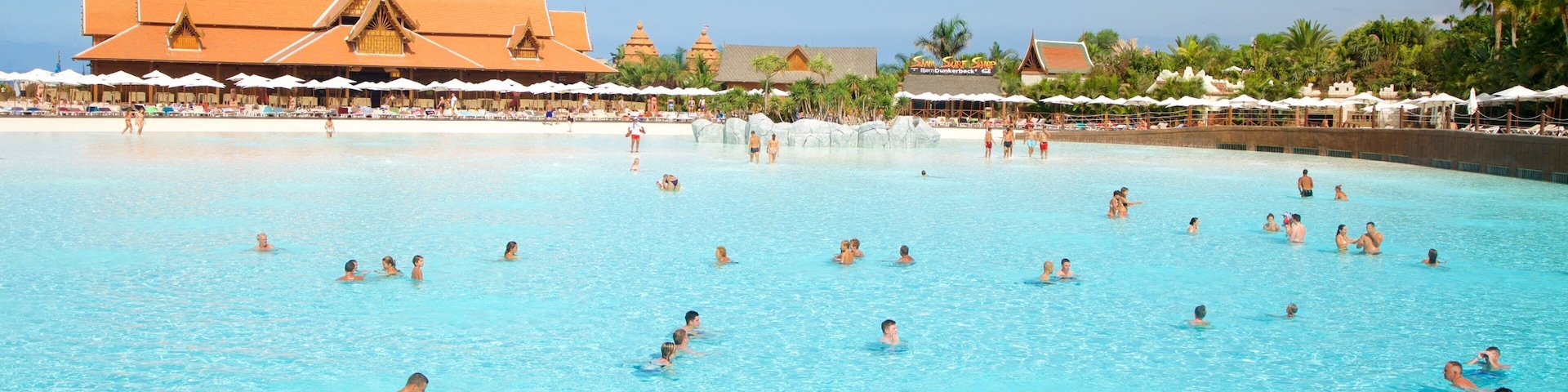 Siam Park which includes a waterpark and swimming as well as a large group of people
