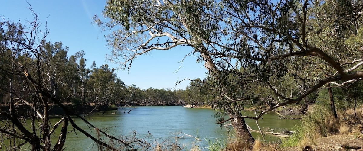A calm lake surrounded by trees and dry grass.