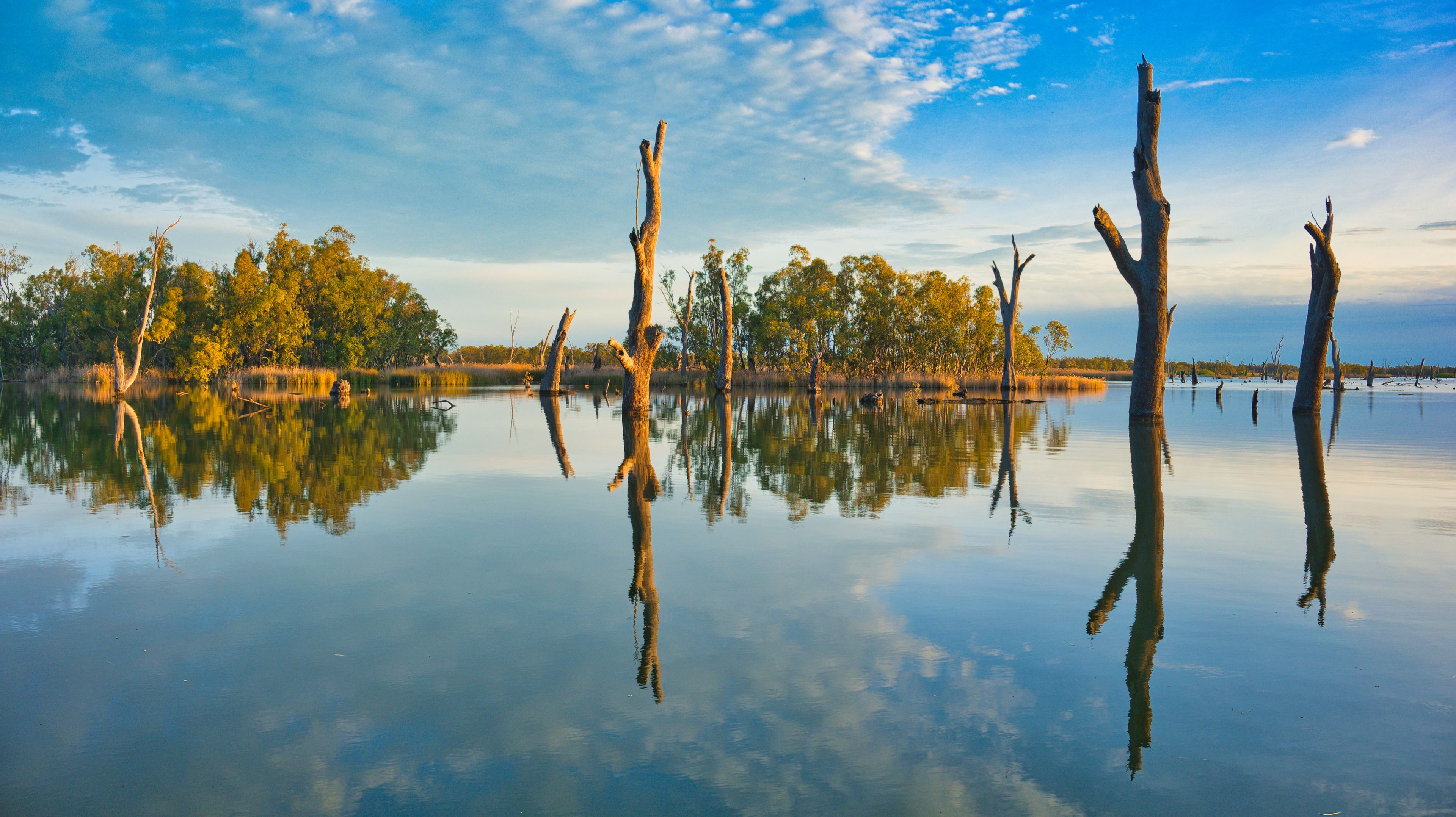 Cobram East