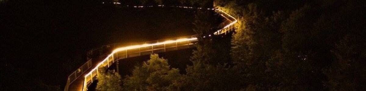 Baumkronenpfad in Beelitz-Heilstätten bei Nacht.
Treetrail at Beelitz-Heilstätten by night.