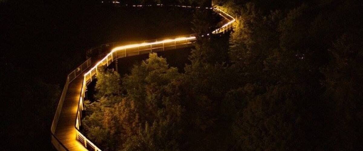 Baumkronenpfad in Beelitz-Heilstätten bei Nacht.
Treetrail at Beelitz-Heilstätten by night.