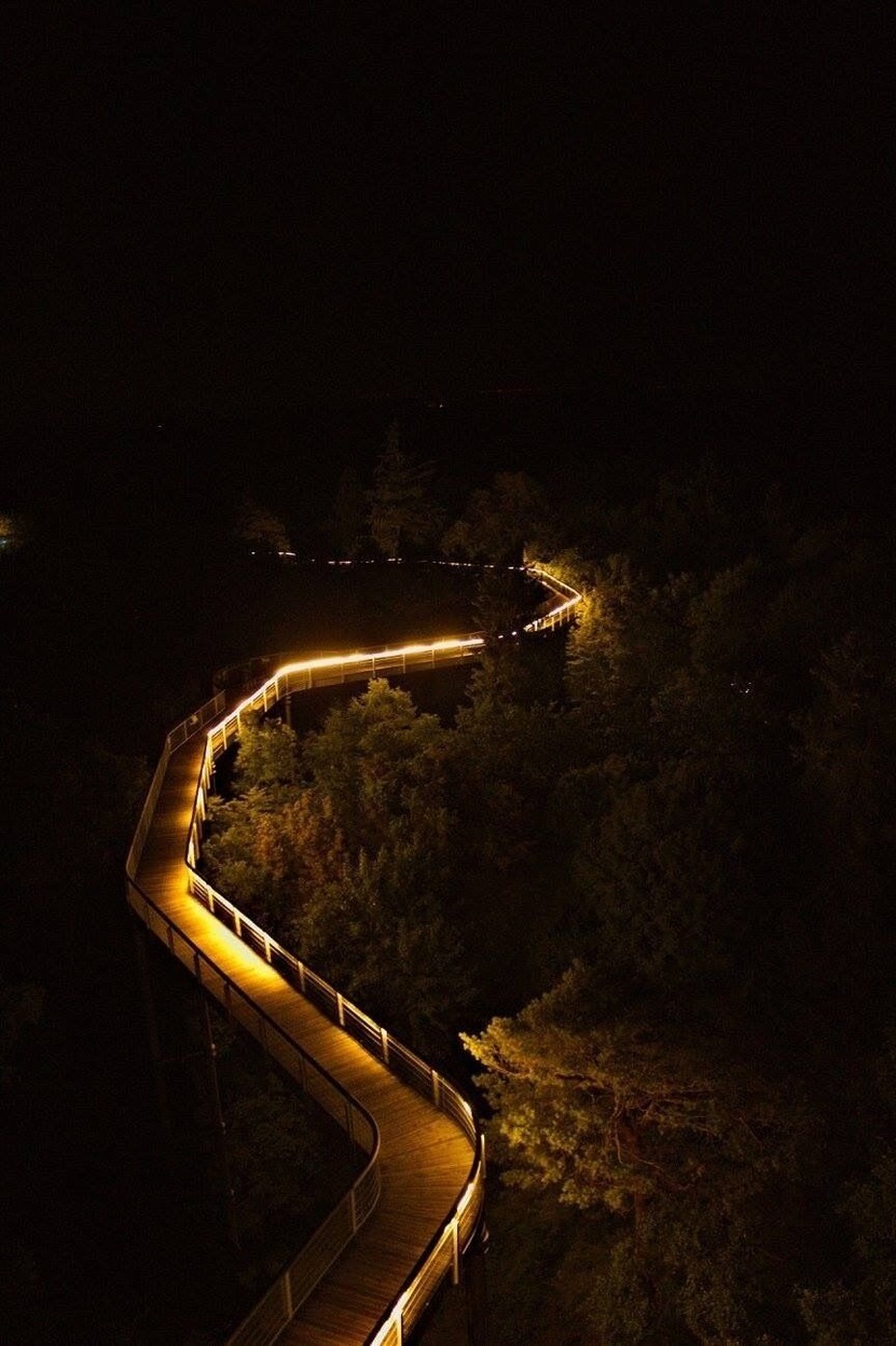 Baumkronenpfad in Beelitz-Heilstätten bei Nacht.
Treetrail at Beelitz-Heilstätten by night.