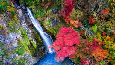 top aerial view of Minoo falls, Minoh park the popular waterfalls for tourist and traveler in Osaka, Kyoto of Japan
