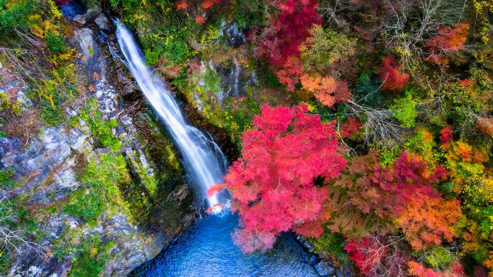A waterfall surrounded by autumn foliage.
