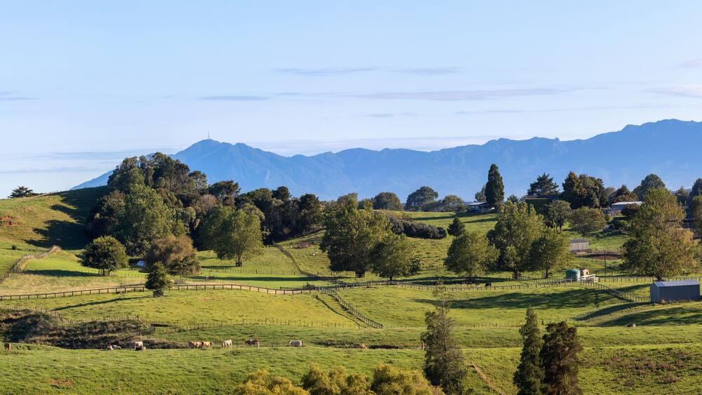 Picturesque rural landscape with Kaimai Range in the morning sun