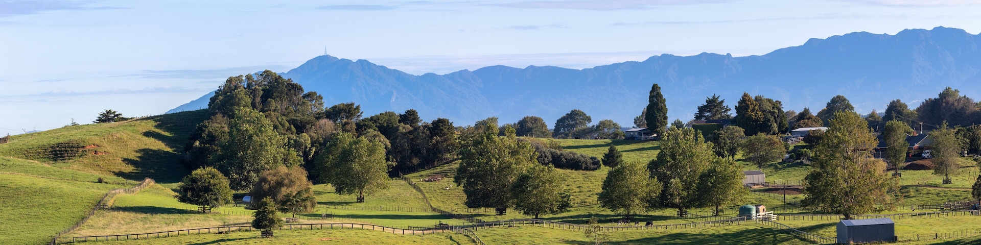 Rolling hills, grazing cows, scattered trees, and distant mountains.