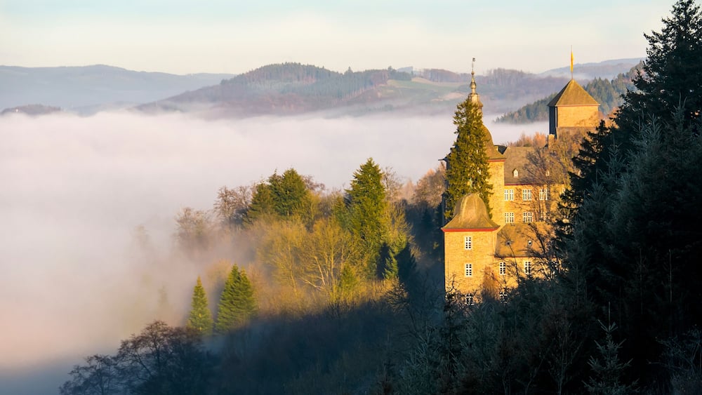 Eine Burg auf einem Hügel, umgeben von Bäumen und Nebel.