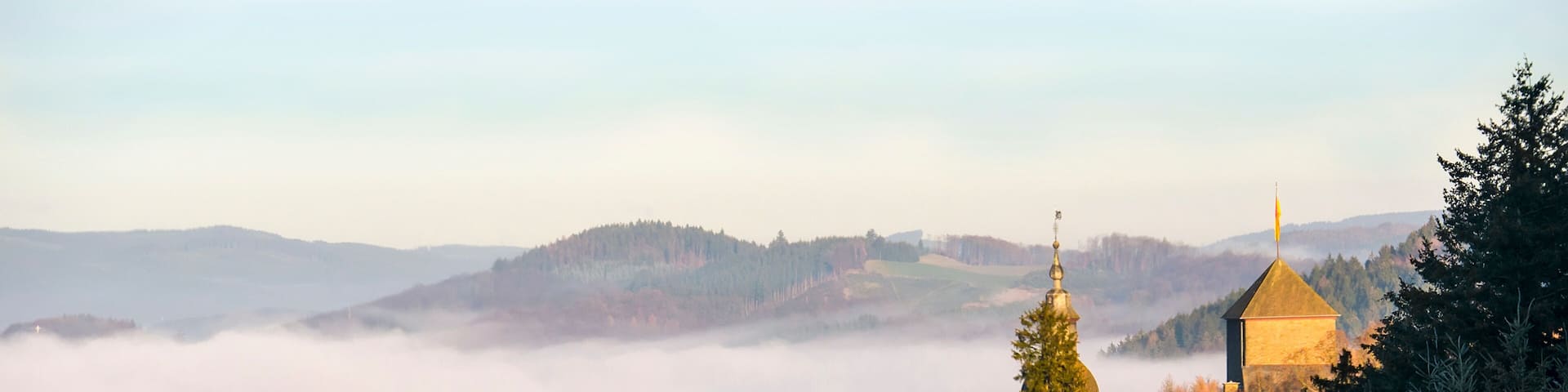 A castle on a hill surrounded by trees and fog.