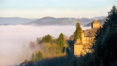 A castle on a hill surrounded by trees and fog.