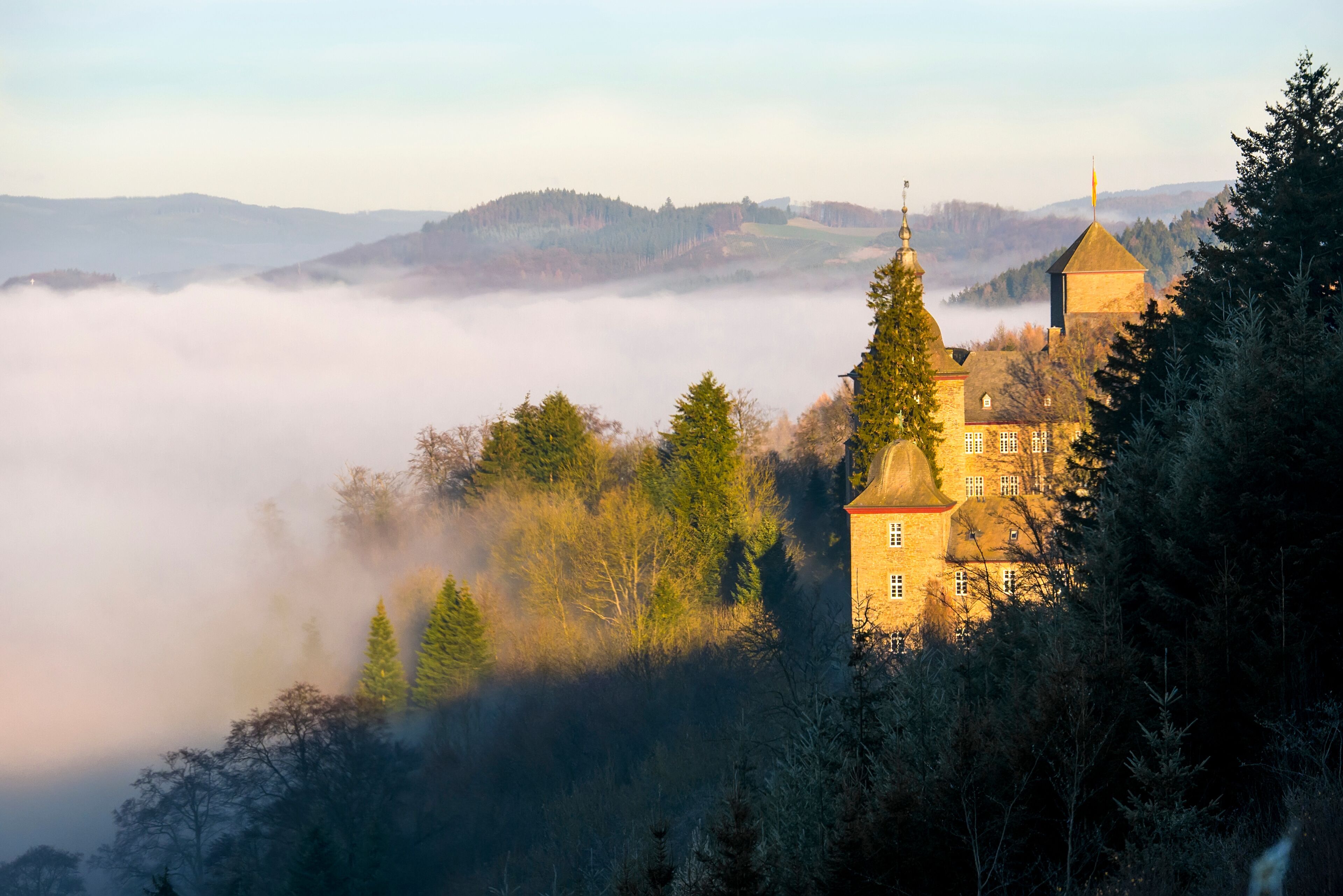 A castle on a hill surrounded by trees and fog.
