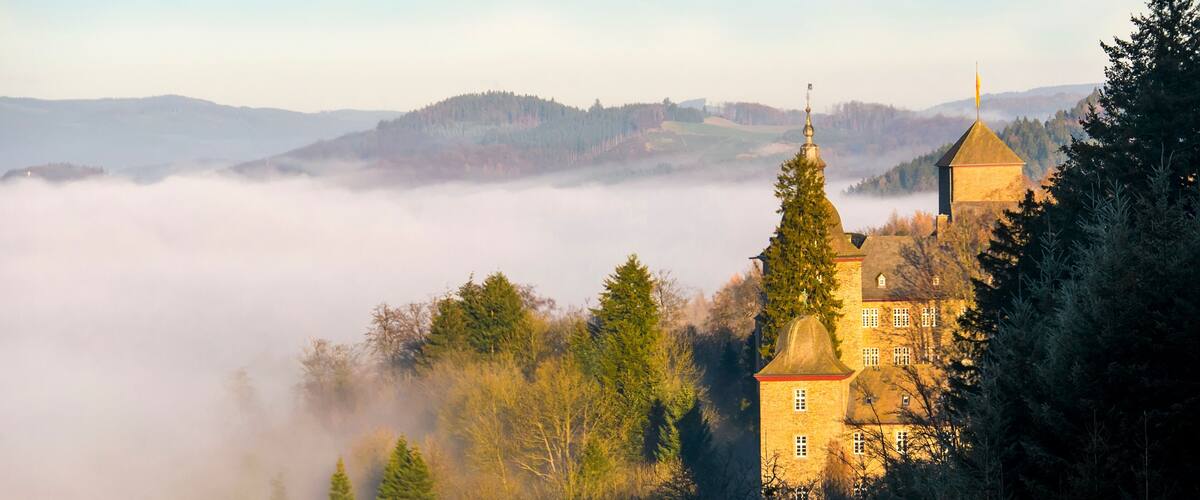 A castle on a hill surrounded by trees and fog.