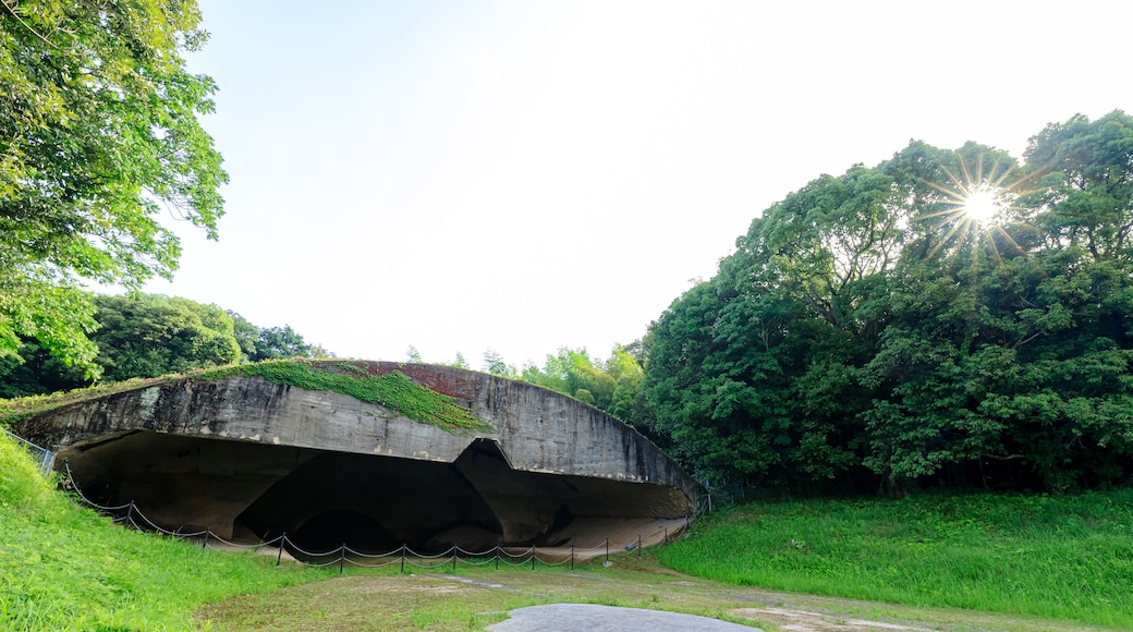 夏の稲童1号掩体壕 福岡県行橋市 Inado No. 1 pit in summer. Fukuoka-ken Yukuhashi city.