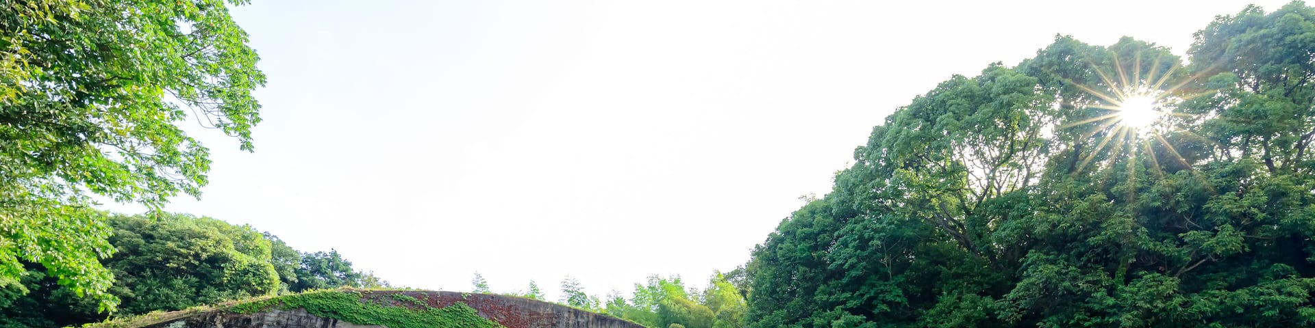 夏の稲童1号掩体壕 福岡県行橋市 Inado No. 1 pit in summer. Fukuoka-ken Yukuhashi city.