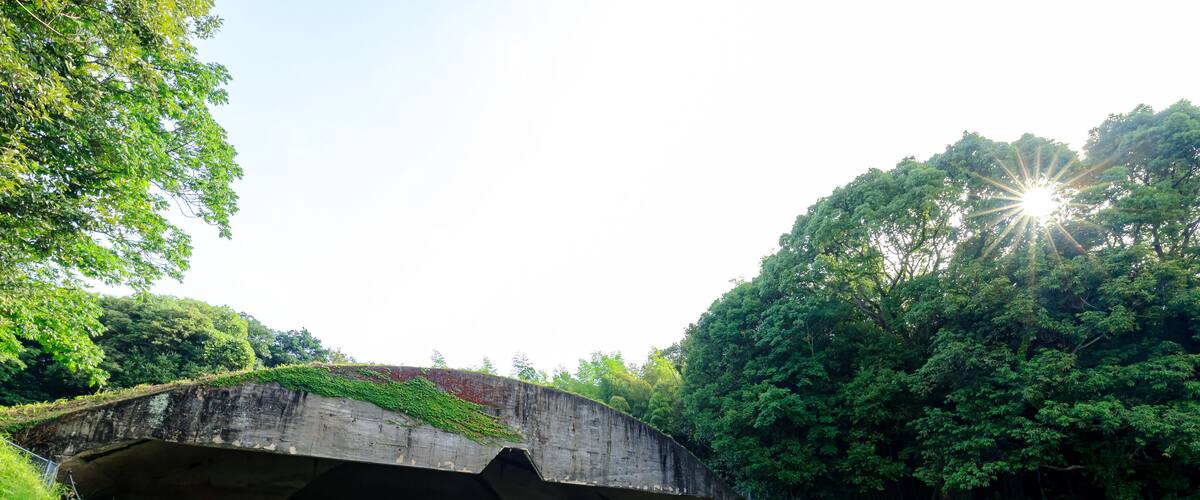 A concrete bridge over a grassy area with trees and a clear sky.