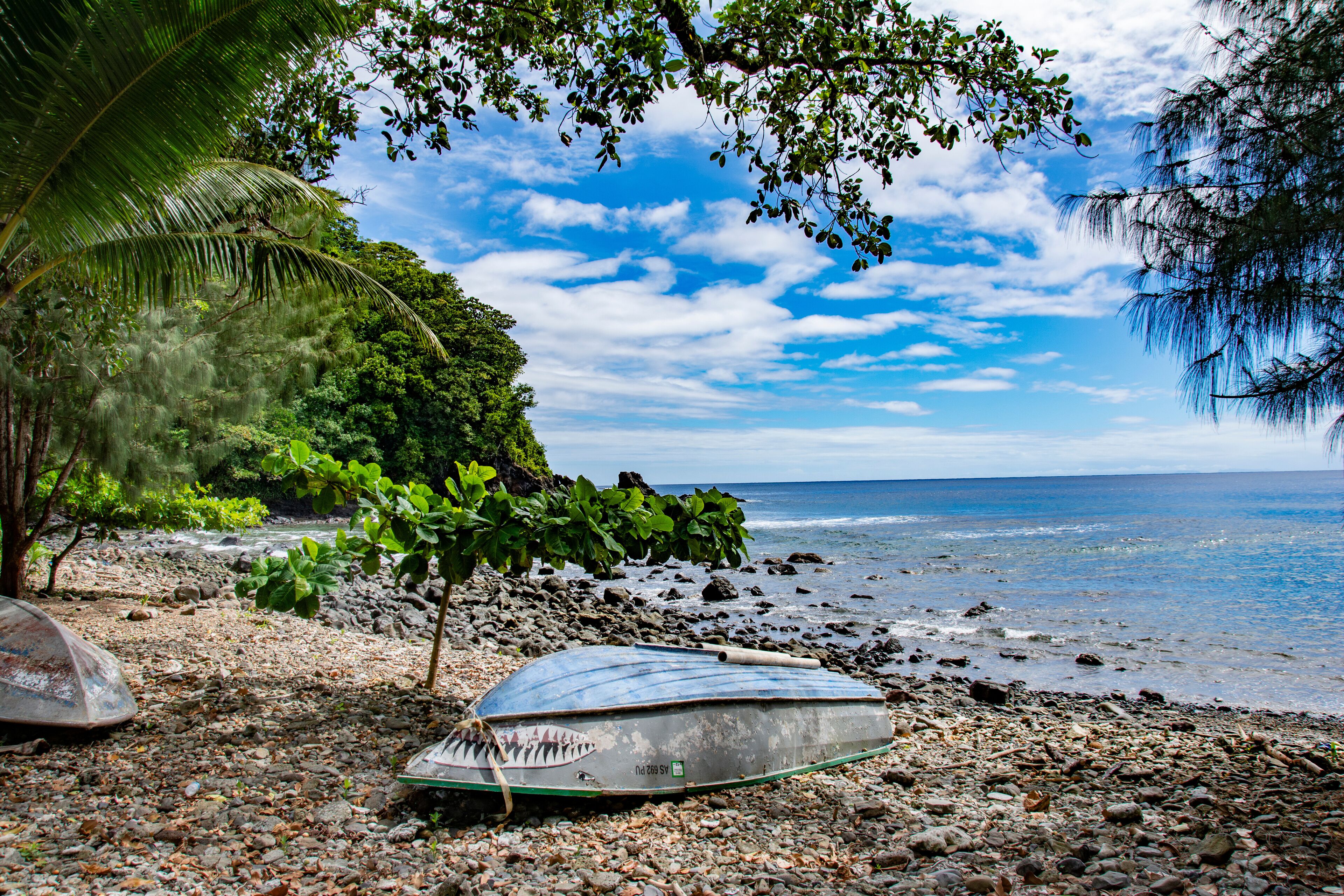 A beach with a boat, rocky shore, palm tree, and ocean.