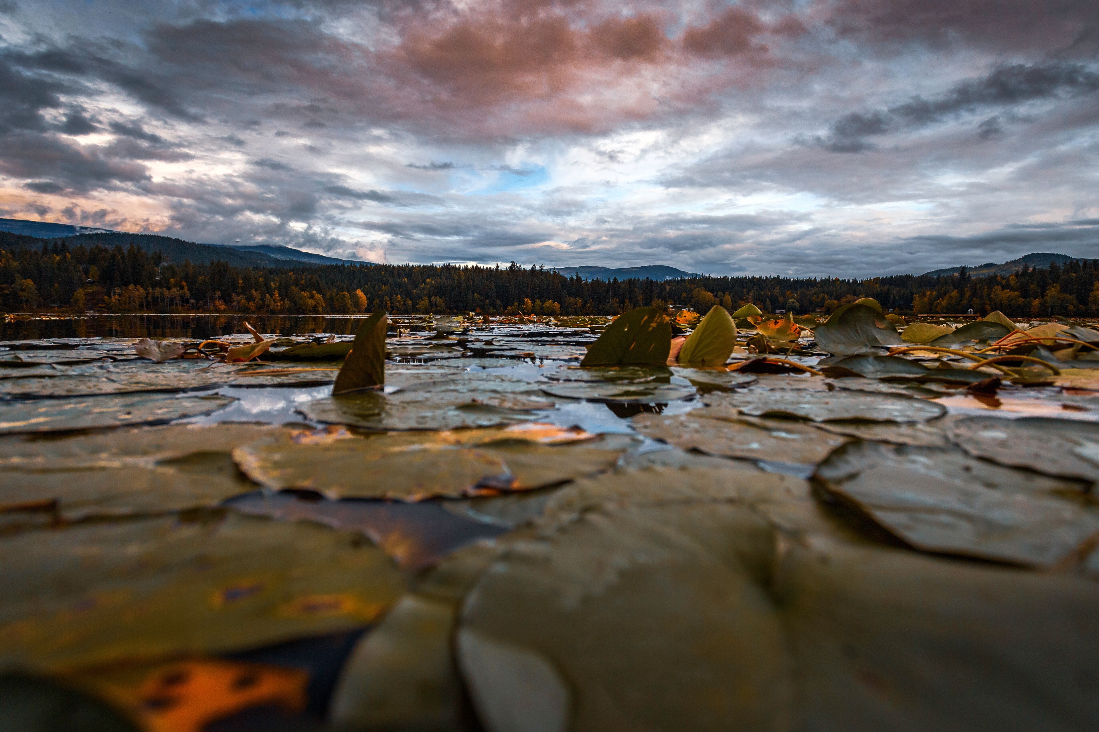 A cloudy September day at Dutch Lake, Clearwater in British Columbia, Canada