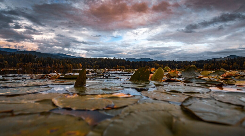 A cloudy September day at Dutch Lake, Clearwater in British Columbia, Canada