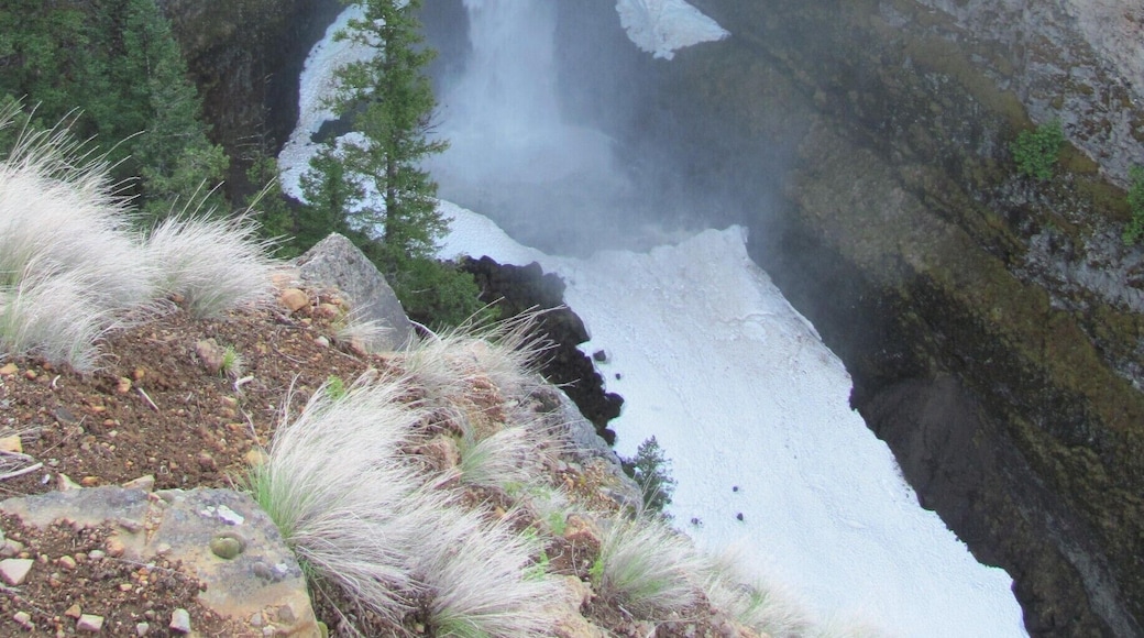 Spahats Falls carves its way through the #snow #waterlust