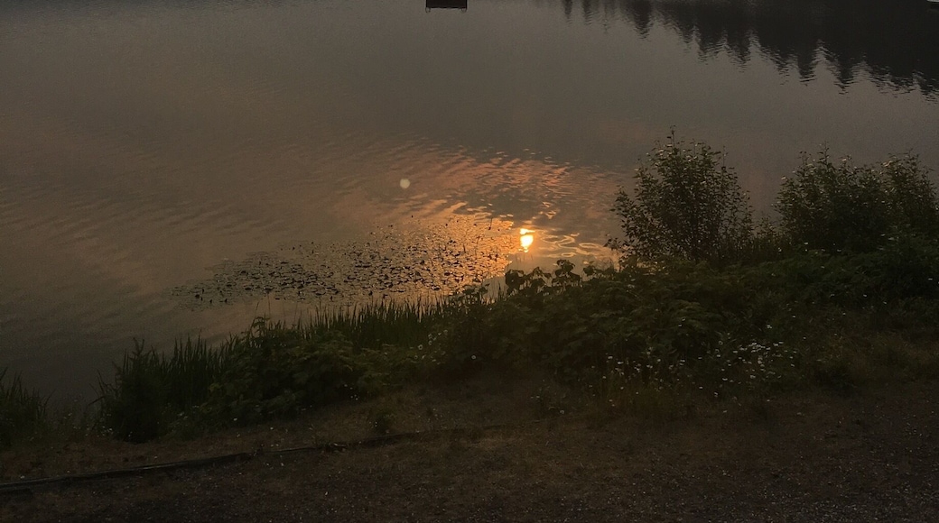 #aquatrove... fantastic Dutch Lake in BC. This was taken during 2017 wildfires so the light took on an eerie foggy kinda light. It was also amazingly hot. Normally you would see the surrounding Wells grey park mountain skyline