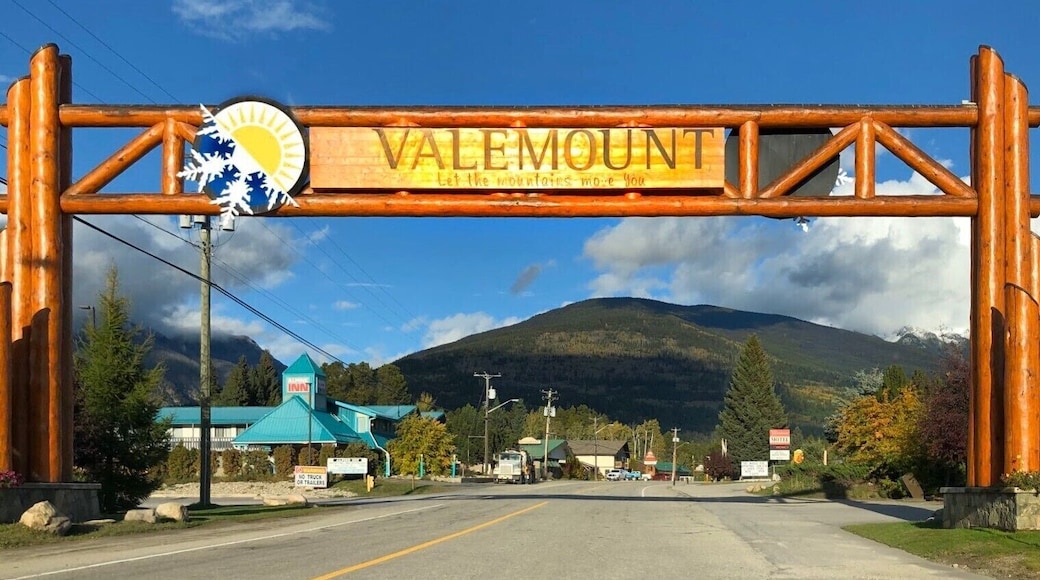Valemount, BC, "valley in the mountains" is just what the name implies. There are over 1000 residents in this small community. The arch over the main street has the slogan. "Let the mountains move you" (September 2019)
#Trovember