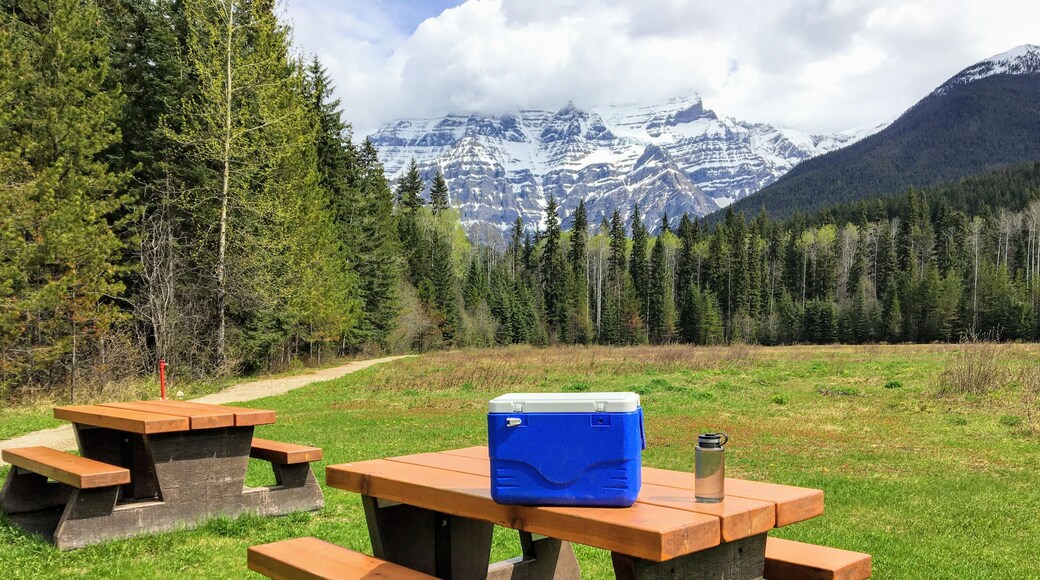 A beautiful view with the mountains in the background of a lovely picnic bench with a cooler and water bottle on top. People are ready to have a picnic in nature.