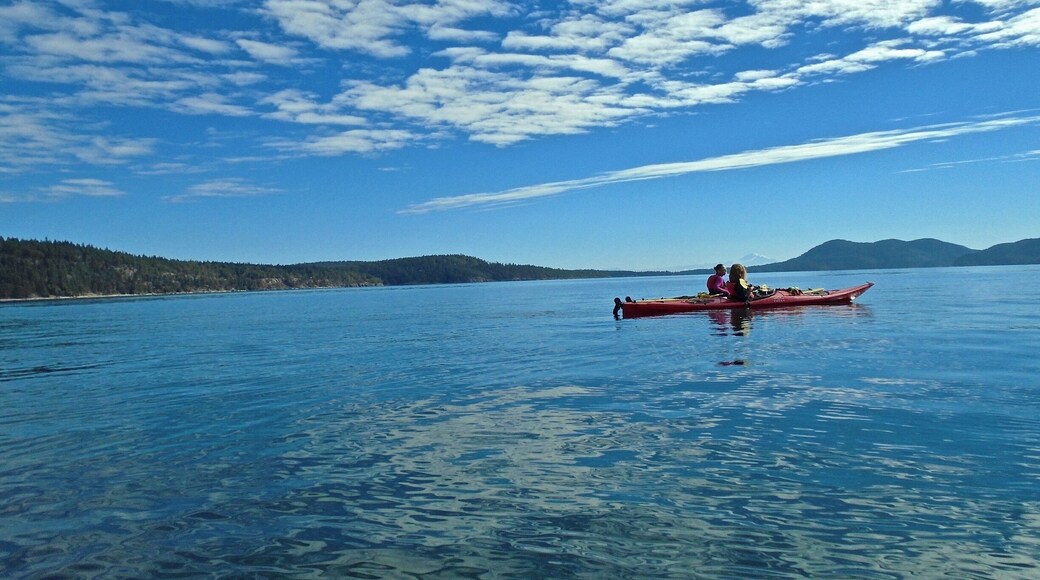Went on a beautiful paddle around Pender Island with Pender Island Kayak Adventures. Saturna Island and Mt Washington in the background. #EndlessSummer