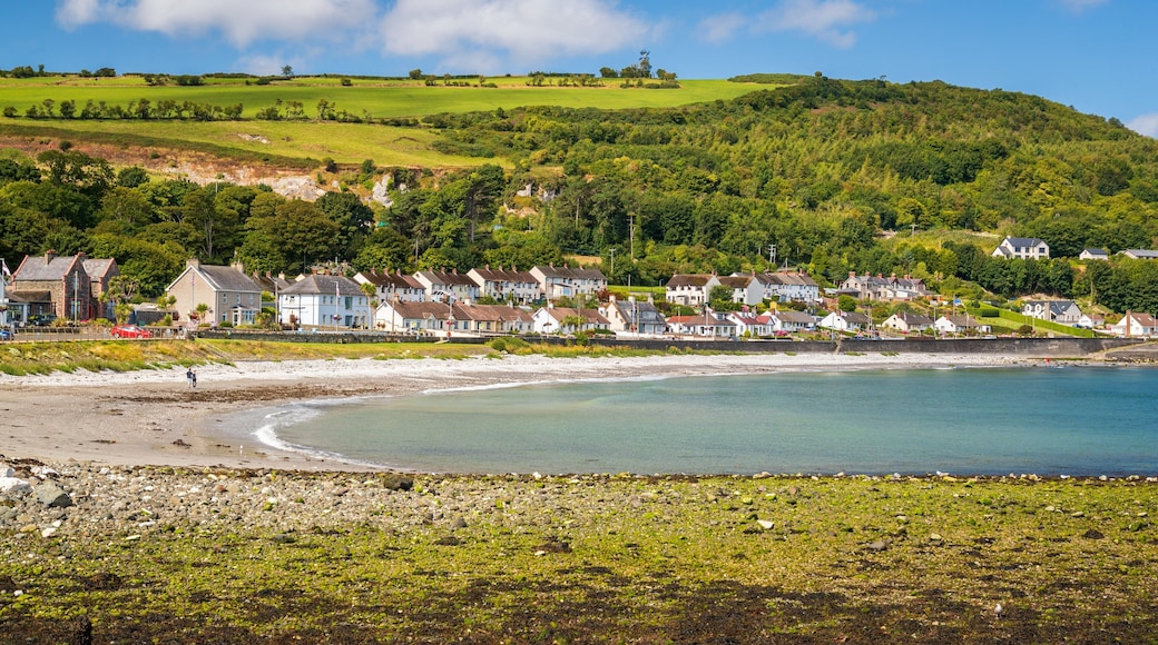 Glenarm featuring a coastal town and general coastal views