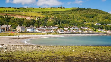 Glenarm featuring a coastal town and general coastal views