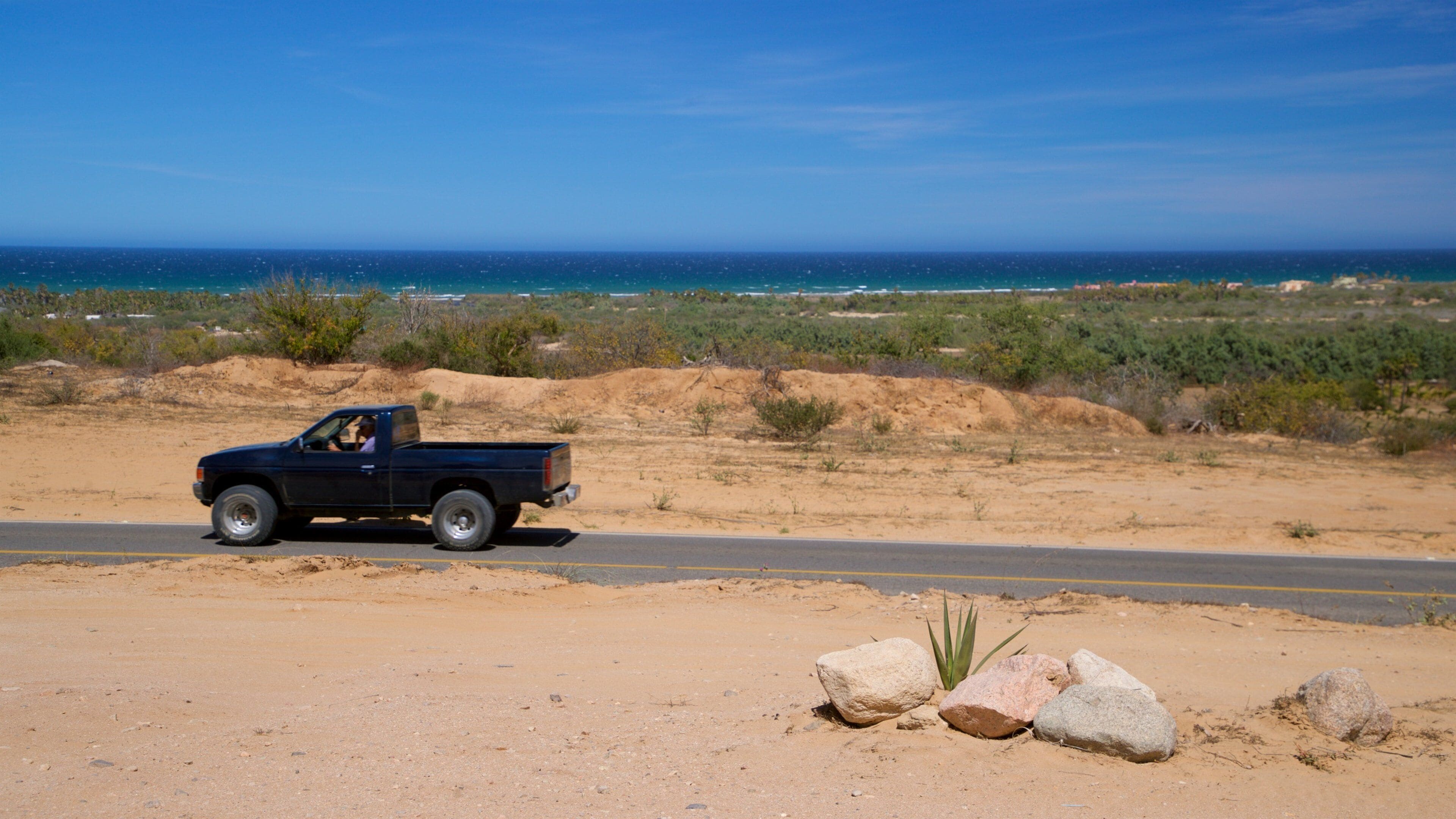 La Ribera showing general coastal views and desert views