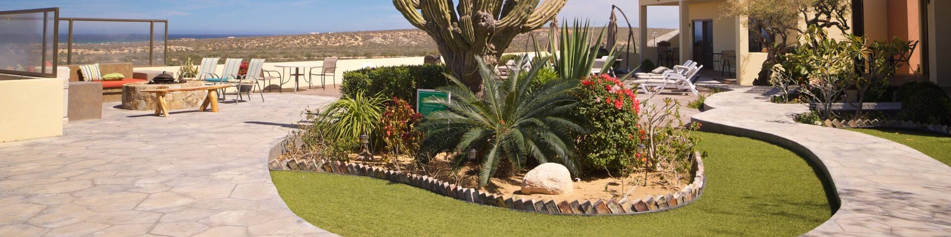 La Ribera showing a garden