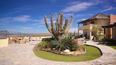 La Ribera showing a garden