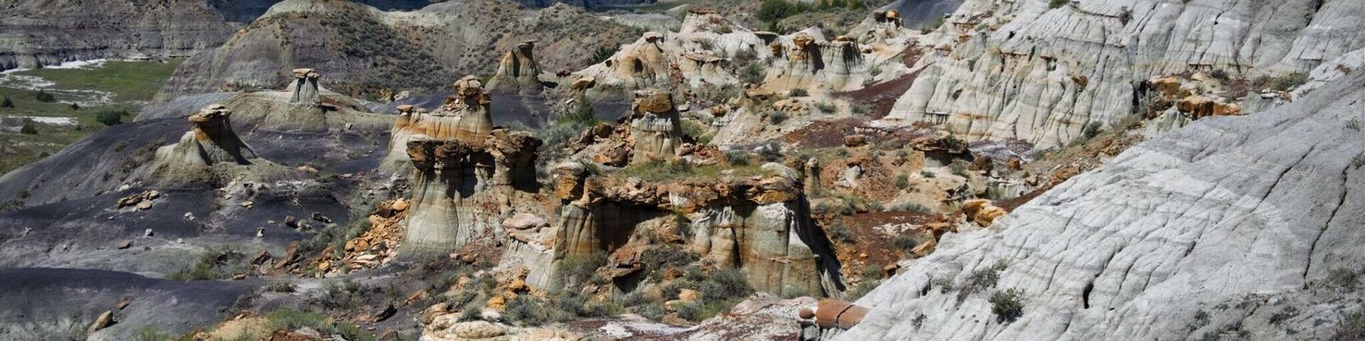 The view from my hike was just spectacular! Easy trails. Lots of different types of landscape.