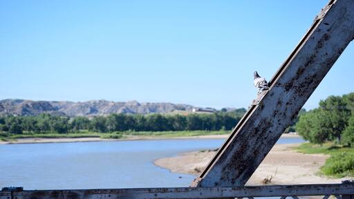 The Yellowstone river from Bell Street Bridge, Glendive Montana