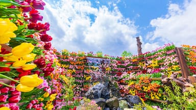 砺波チューリップ公園