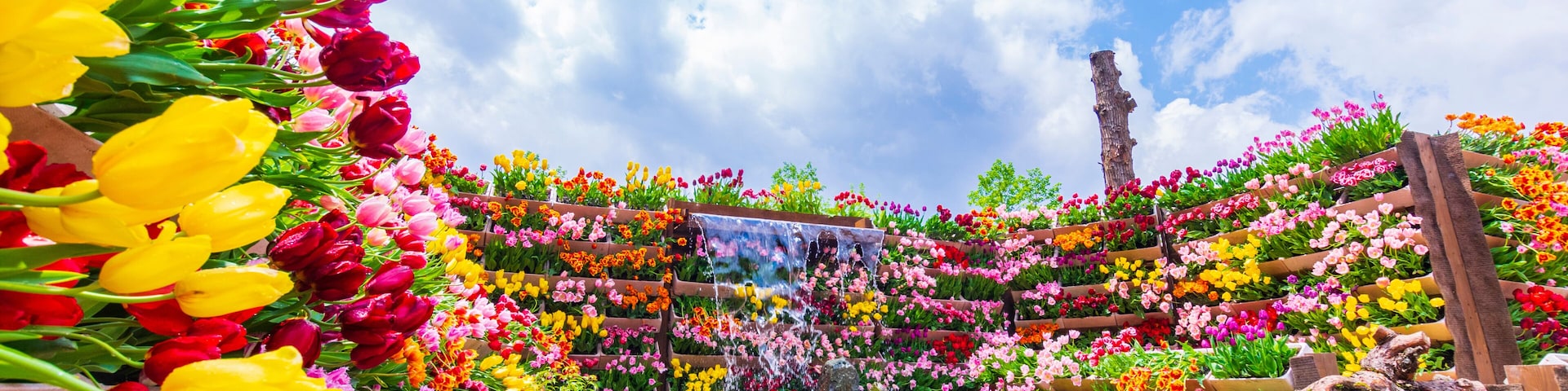 砺波チューリップ公園