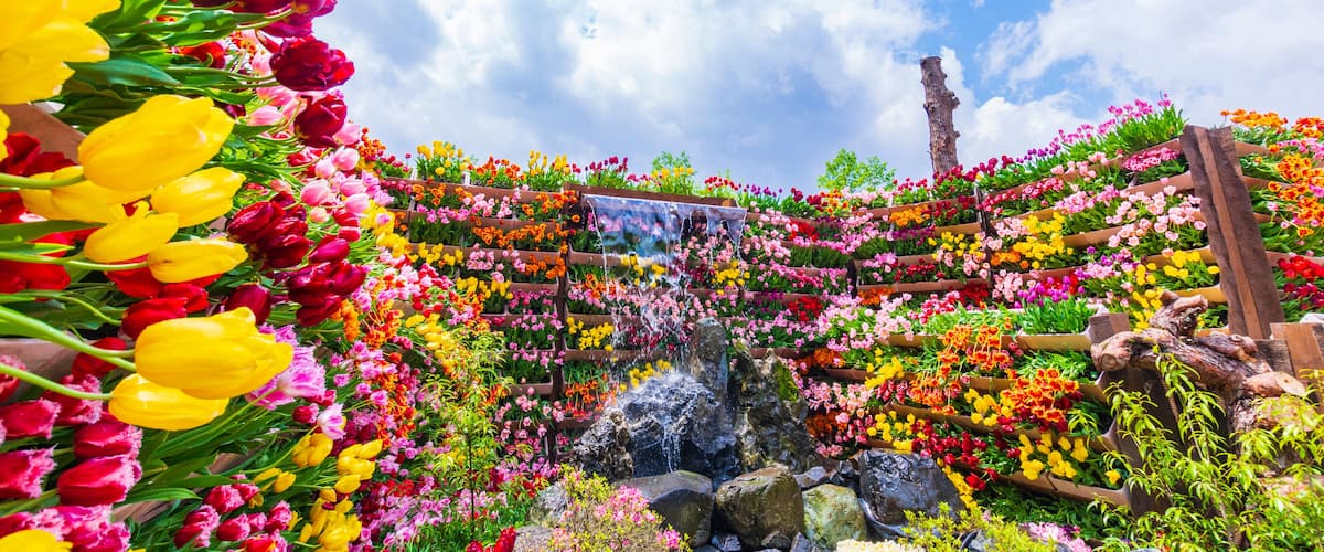 A vibrant flower garden with a cascading waterfall and a wooden trellis structure.