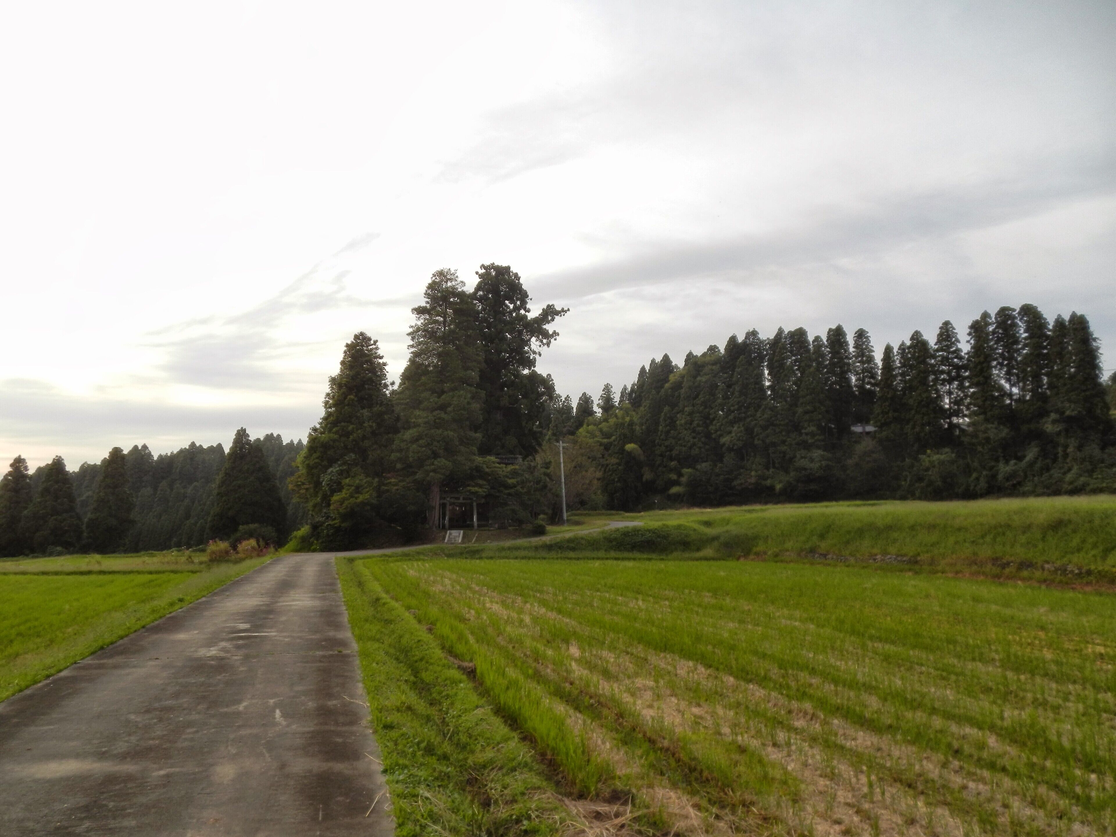 Shogonji, Tonami, Toyama Prefecture 939-1412, Japan