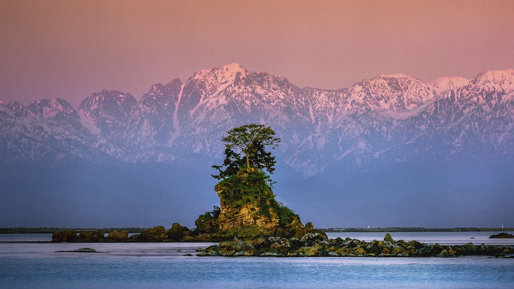 A solitary tree on a rocky island with snow-capped mountains in the background.