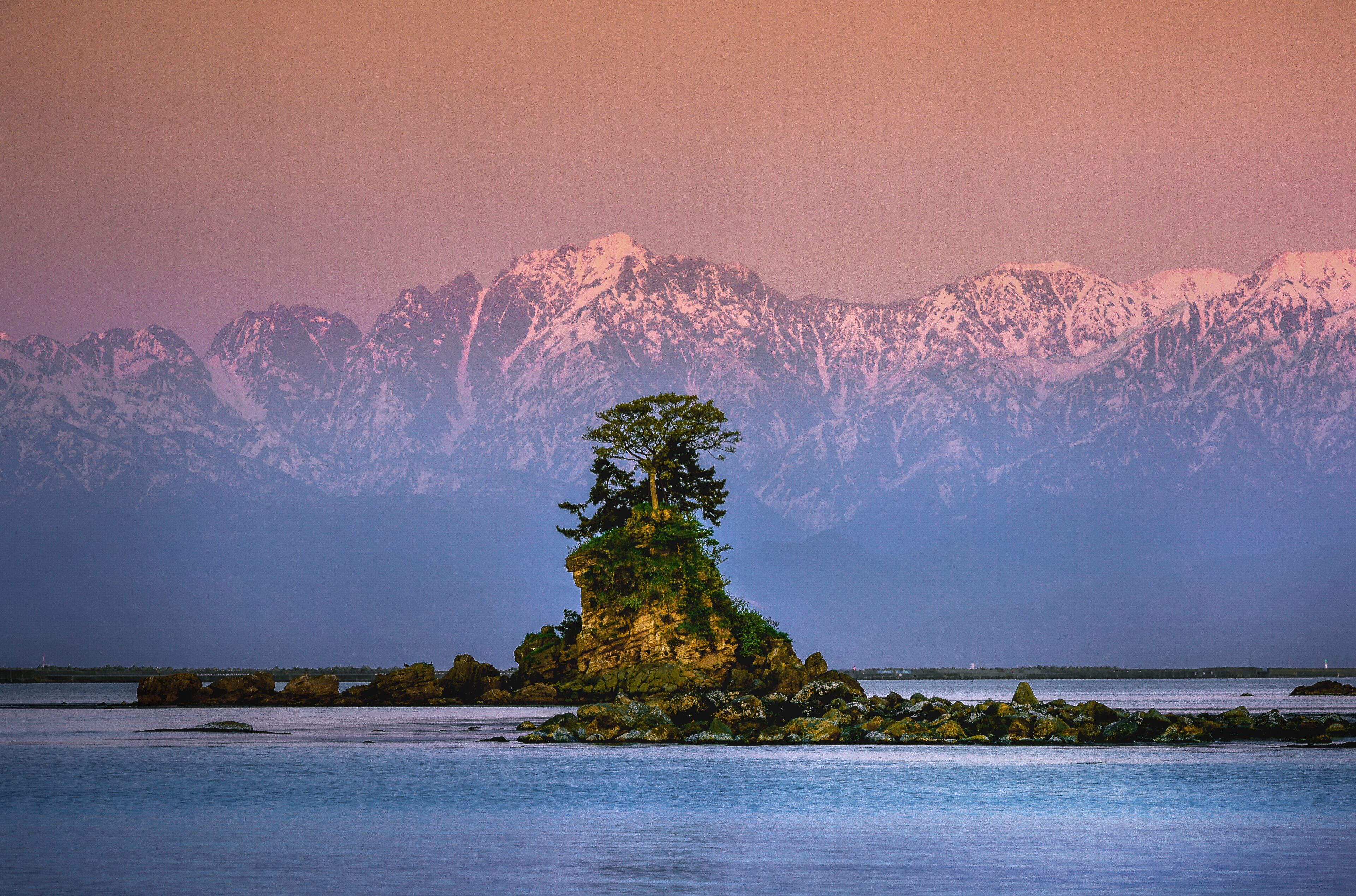 A solitary tree on a rocky island with snow-capped mountains in the background.