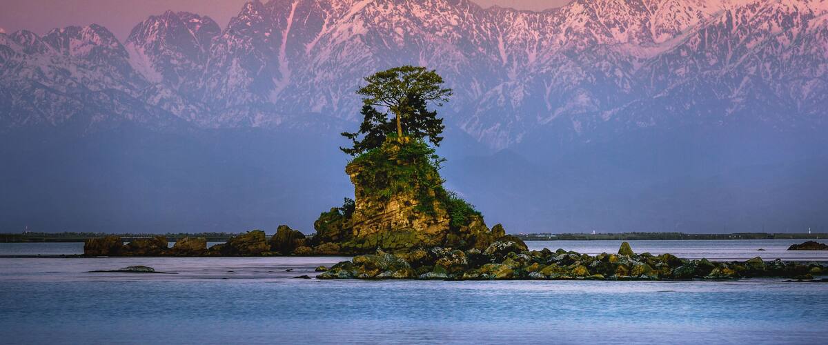 A solitary tree on a rocky island with snow-capped mountains in the background.