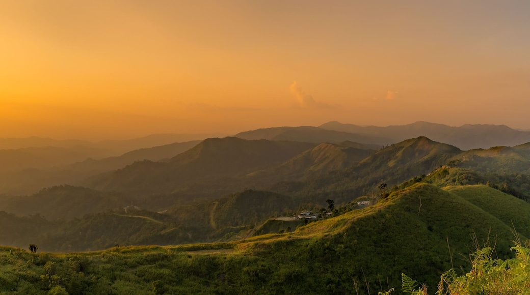 ثونج فا فوم