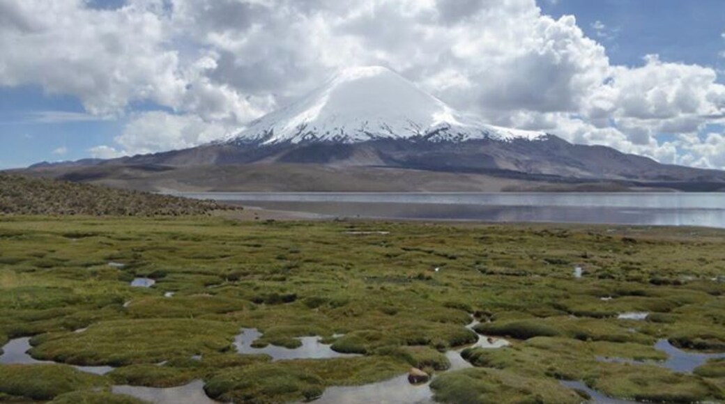 Stunning scenery & lots of wildlife