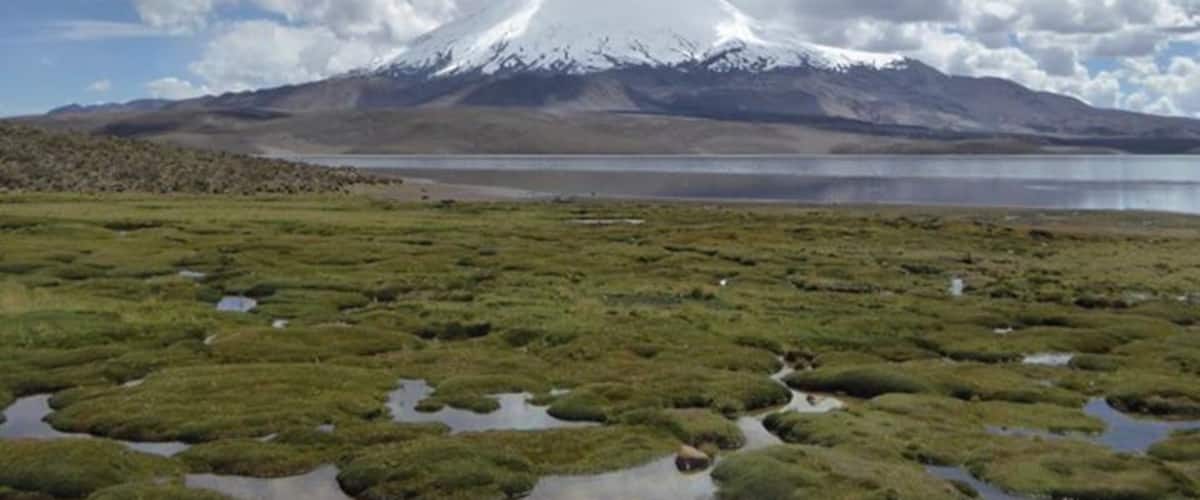 Stunning scenery & lots of wildlife