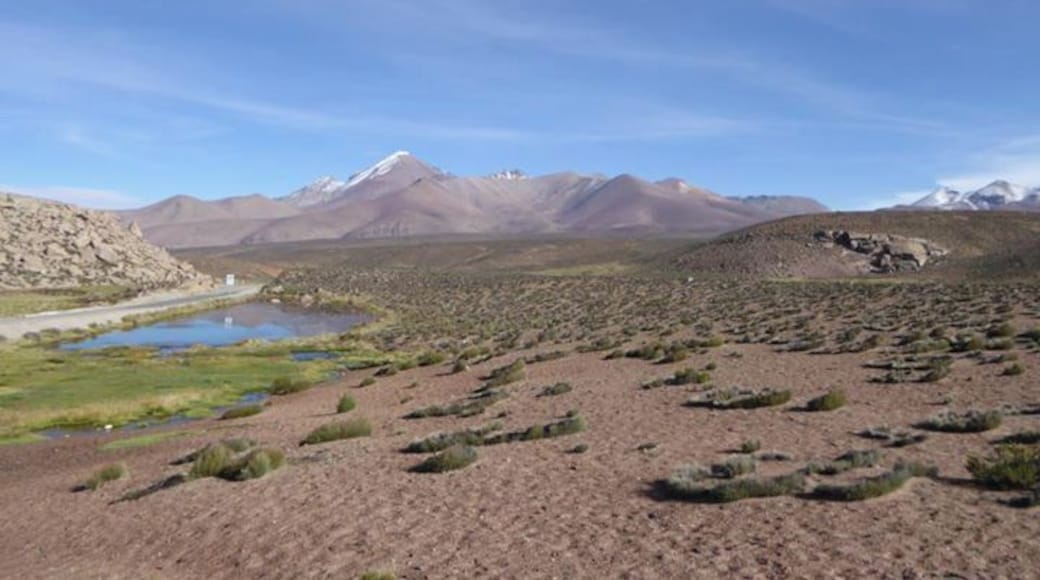 Stunning scenery & lots of wildlife