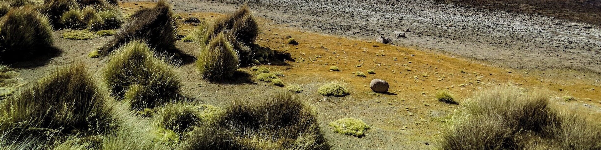 Parinacota Volcano and Chungará Lake on the border of Chile and Bolivia. Photo taken on the chilean side at Lauca National Park.