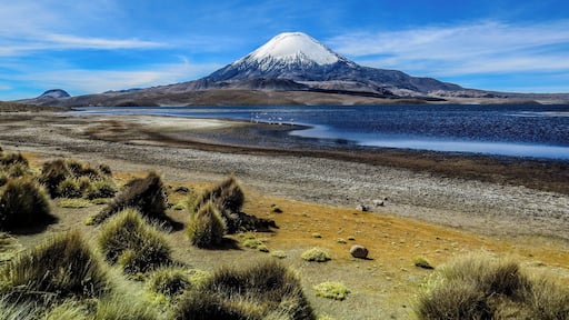 Parinacota Volcano and Chungará Lake on the border of Chile and Bolivia. Photo taken on the chilean side at Lauca National Park.