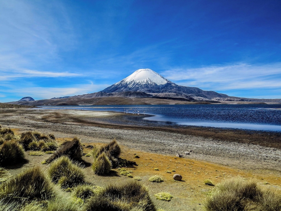 Parinacota Volcano and Chungará Lake on the border of Chile and Bolivia. Photo taken on the chilean side at Lauca National Park.