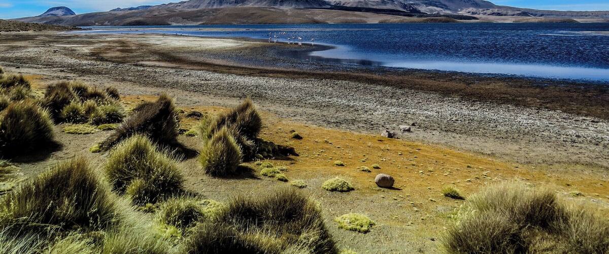 A snow-capped mountain, a lake, and grassy terrain.