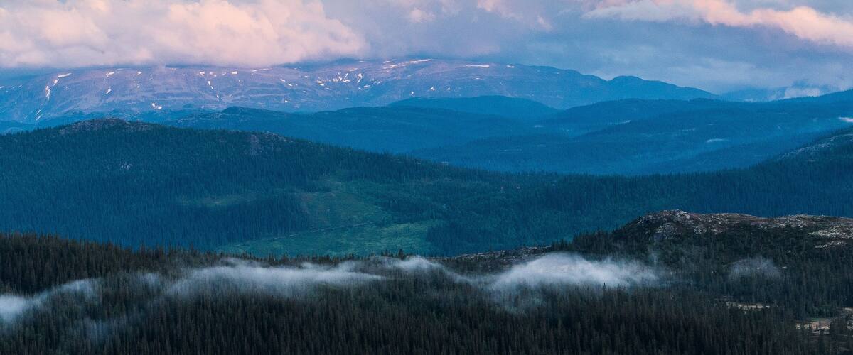 A mountain range with snow-capped peaks and dense forests.